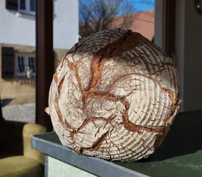 Brot